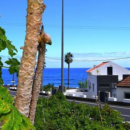 Lazy Lizard By The Ocean Seixal (Madeira)