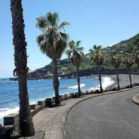 Lazy Lizard By The Ocean * Seixal (Madeira)