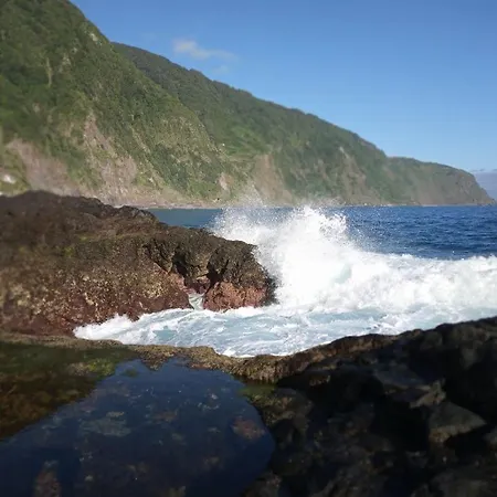 Lazy Lizard By The Ocean Seixal (Madeira)