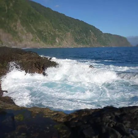 Lazy Lizard By The Ocean