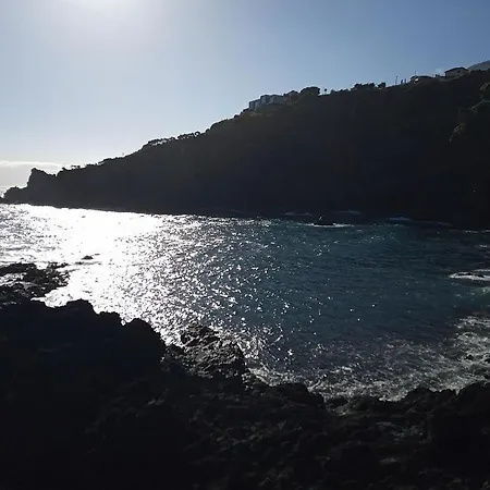 Lazy Lizard By The Ocean Διαμέρισμα Seixal (Madeira)
