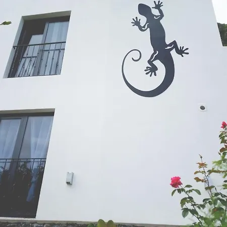 Lazy Lizard By The Ocean Apartment