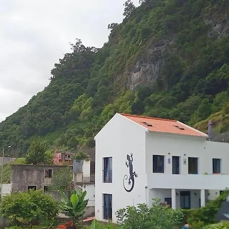 Lazy Lizard By The Ocean Seixal (Madeira)