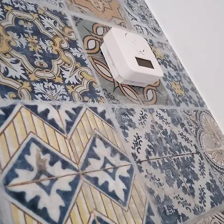 Lazy Lizard By The Ocean Seixal (Madeira)