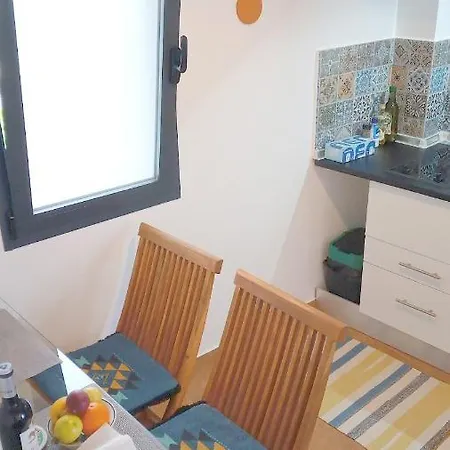 Lazy Lizard By The Ocean Seixal (Madeira)