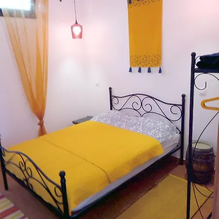 Lazy Lizard By The Ocean *