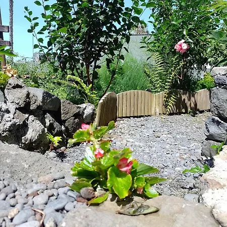 Appartement Lazy Lizard By The Ocean