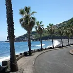 Lazy Lizard By The Ocean * Seixal (Madeira)