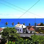 Lazy Lizard By The Ocean Seixal (Madeira)
