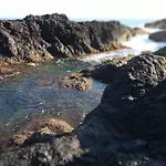 Appartement Lazy Lizard By The Ocean Seixal (Madeira)