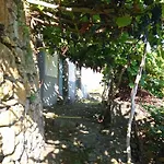 Apartmán Lazy Lizard By The Ocean *