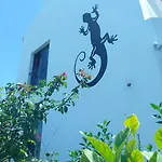 Lazy Lizard By The Ocean
