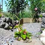 Apartmán Lazy Lizard By The Ocean