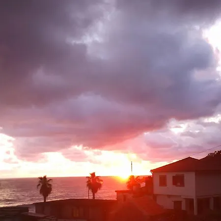 Daire Lazy Lizard By The Ocean Seixal (Madeira)