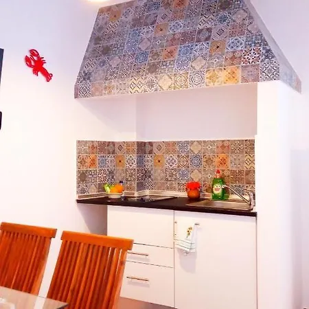 Lazy Lizard By The Ocean Seixal (Madeira)