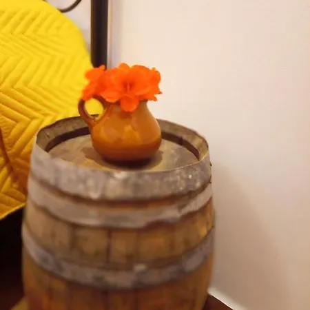 Lazy Lizard By The Ocean Lejlighed *