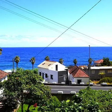 Lazy Lizard By The Ocean Seixal (Madeira)
