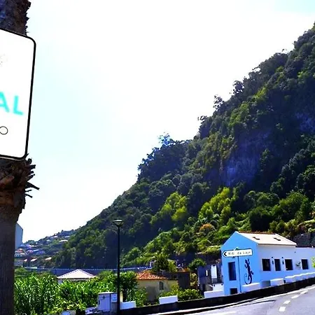 Daire Lazy Lizard By The Ocean *