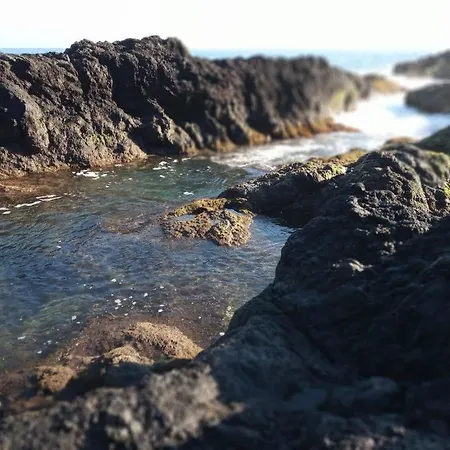 Daire Lazy Lizard By The Ocean Seixal (Madeira)