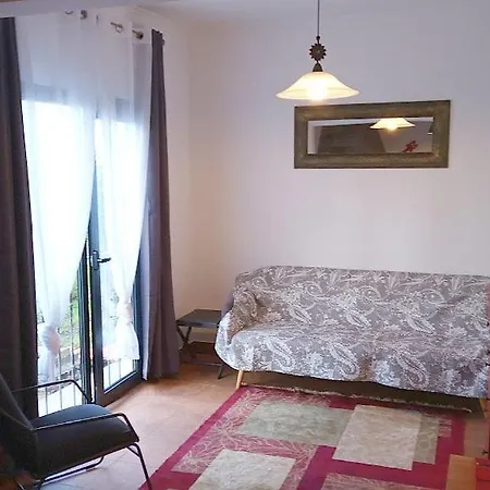 Lazy Lizard By The Ocean *