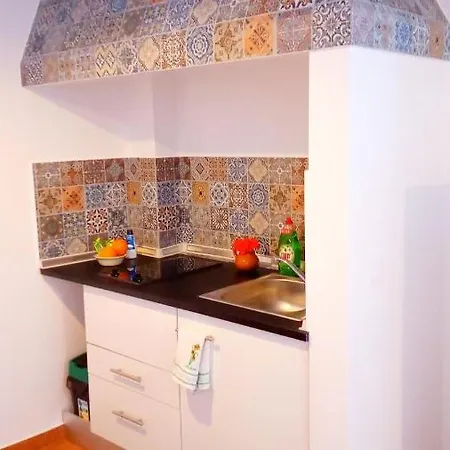 Lazy Lizard By The Ocean Apartment