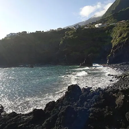 Lazy Lizard By The Ocean Daire