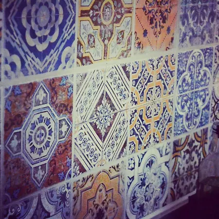 Lazy Lizard By The Ocean Daire Seixal (Madeira)