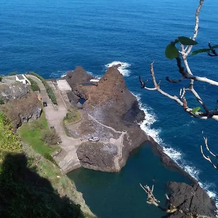 Lazy Lizard By The Ocean Apartment *