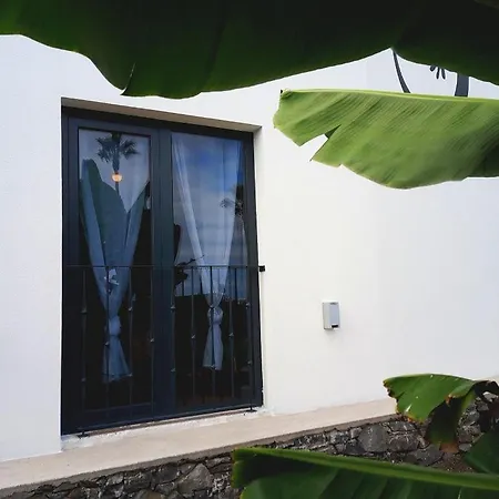 Lazy Lizard By The Ocean Apartment *