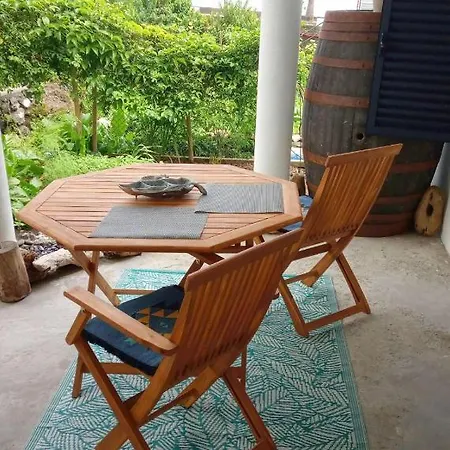 Lazy Lizard By The Ocean Apartmán *