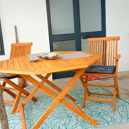 Lazy Lizard By The Ocean Apartment