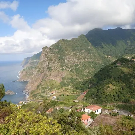 Lazy Lizard By The Ocean Seixal (Madeira)