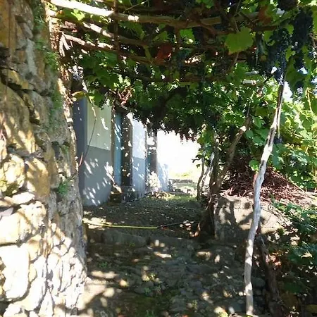 Appartement Lazy Lizard By The Ocean *