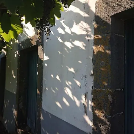 Lazy Lizard By The Ocean Apartment Seixal (Madeira)