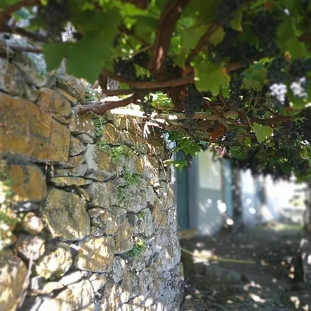 Apartment Lazy Lizard By The Ocean Seixal (Madeira)