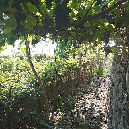 Apartment Lazy Lizard By The Ocean Seixal (Madeira)