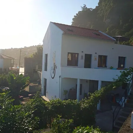 Lazy Lizard By The Ocean Daire *