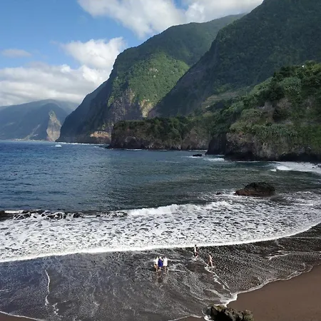 Lazy Lizard By The Ocean * Seixal (Madeira)