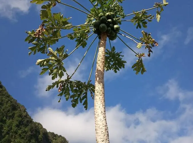 Lazy Lizard By The Ocean Διαμέρισμα *