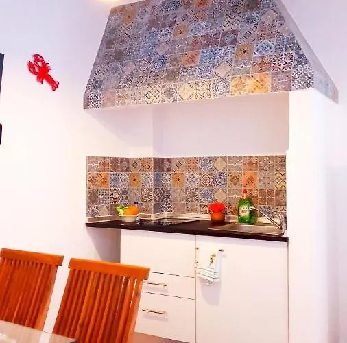 Lazy Lizard By The Ocean Seixal (Madeira)