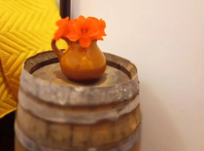 Lazy Lizard By The Ocean Διαμέρισμα *