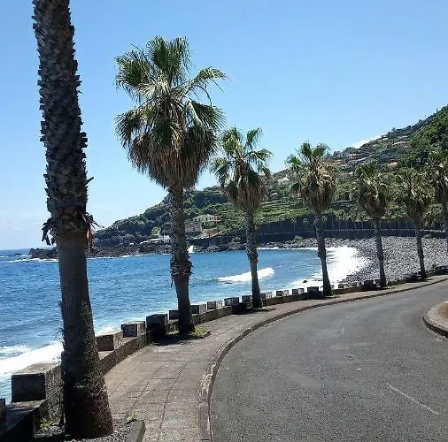 Lazy Lizard By The Ocean * Seixal (Madeira)