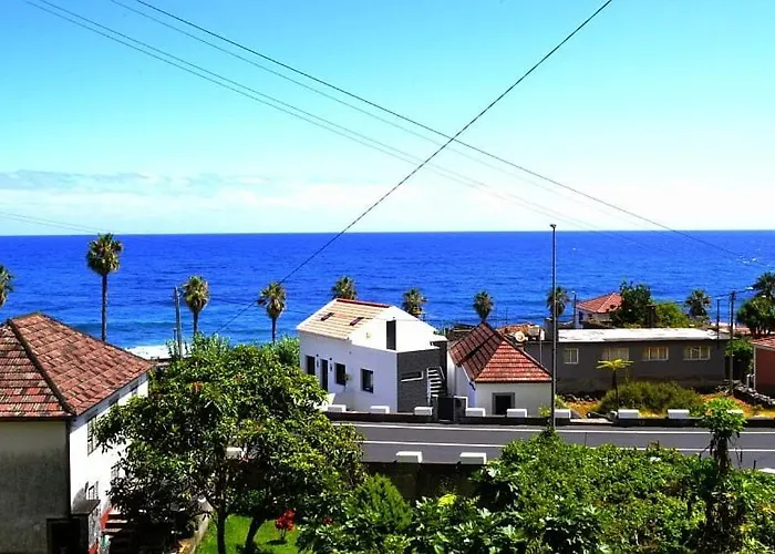 Lazy Lizard By The Ocean Seixal (Madeira)