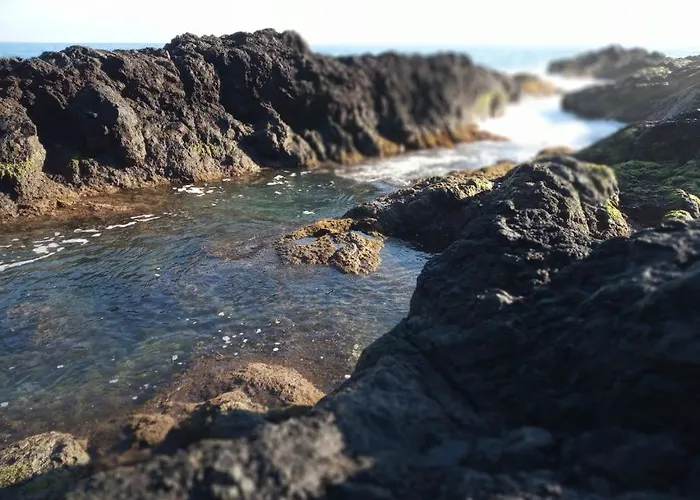 Διαμέρισμα Lazy Lizard By The Ocean Seixal (Madeira)