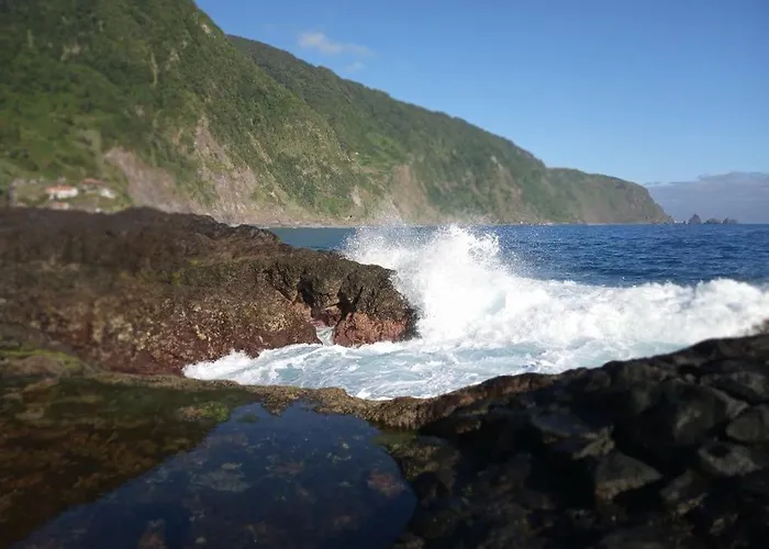 Lazy Lizard By The Ocean Seixal (Madeira)