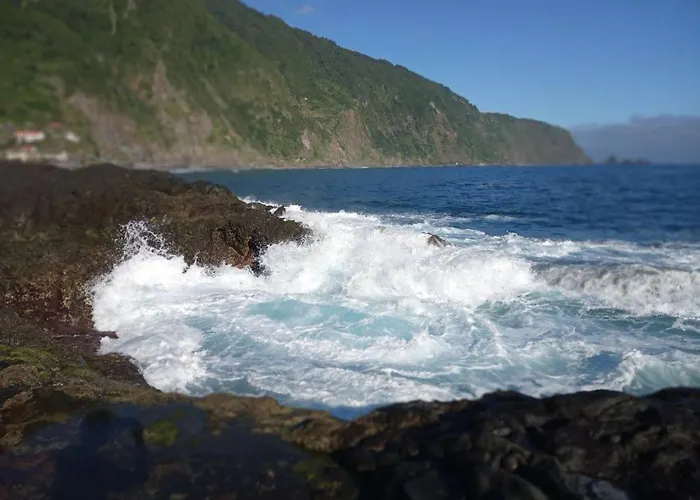 Lazy Lizard By The Ocean