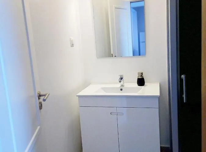 Lazy Lizard By The Ocean