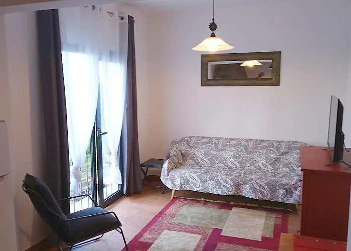 Lazy Lizard By The Ocean *