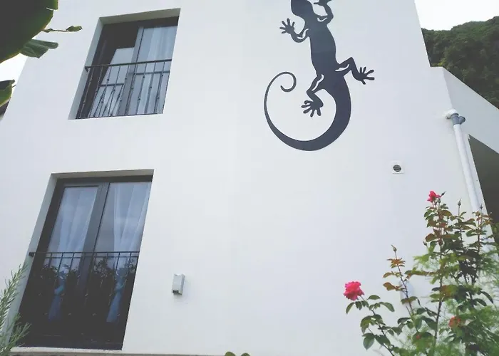 Lazy Lizard By The Ocean Διαμέρισμα