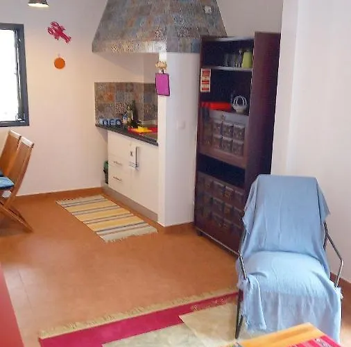 Lazy Lizard By The Ocean Seixal (Madeira)